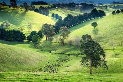 Farm